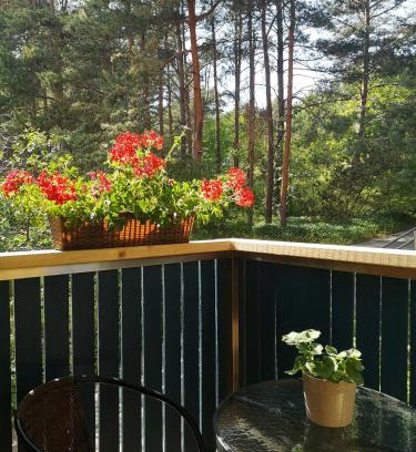 Nida Apartment | Miško studija