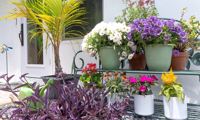 Miami Shores Apartment | Miami's Paradise