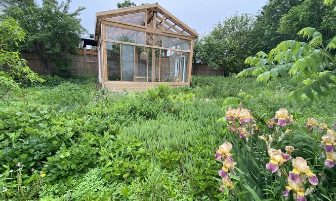 Sarnia House | Mid-Century oasis + greenhouse!