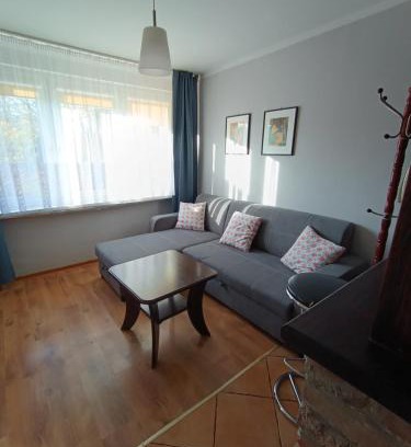 Klodzko Miasto Apartment | Mieszkanie w centrum