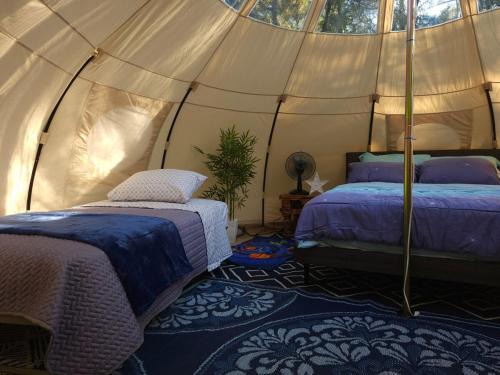 Shaker Heights Apartment | Milky Way Farm Stay Glamping Near Houston