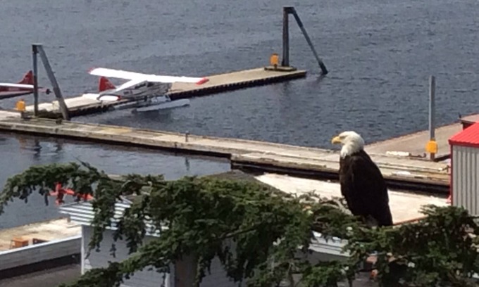 Ketchikan House | Million Dollar Water View on Historic Street
