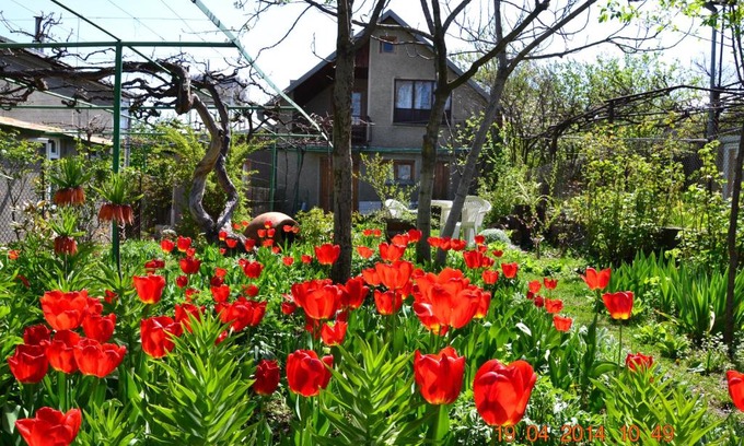Telavi House | Milorava's Guest House & Wine Cellar