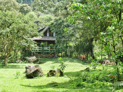 Mindo House | Mindo Eco Chalet con Rio y Cascada