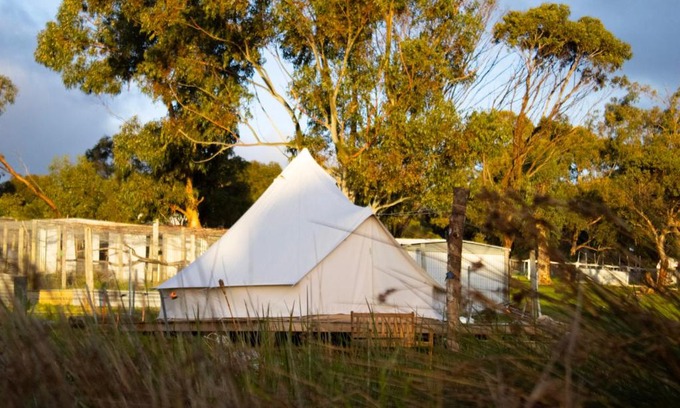 Monjingup Other | Mini Acres Farm Stay