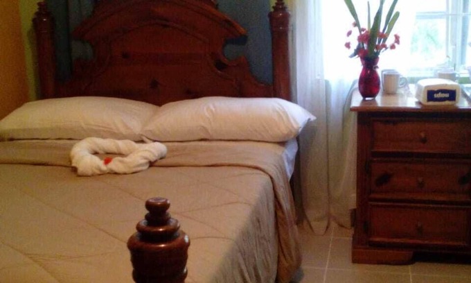 Constant Spring Apartment | Mini Self Contained- Manor Park Kingston