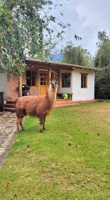 San Pablo del Lago House | Minicasa Romántica al Pie del Volcán