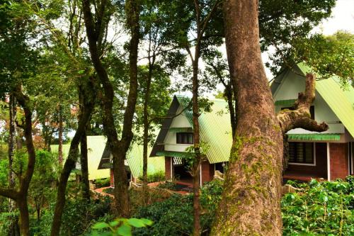 Kakabe Resort | Misty Woods Resort