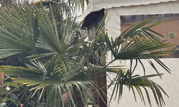 Sainte-Eulalie-en-Born House | Mobile home between Mimizan and Biscarosse