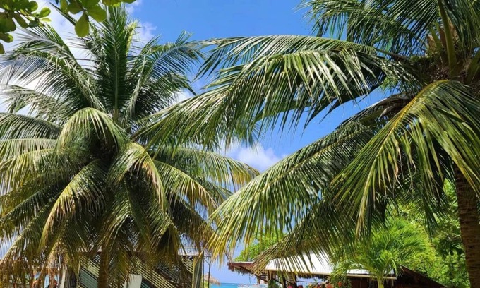 Ocho Rios Condo | Modern Beachfront 1BR, 1.5 BATH + Parking