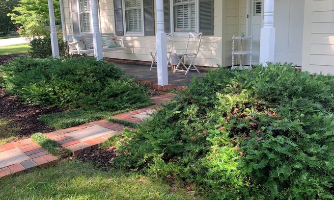 Wade Hampton House | Modern & Bright 3-bedroom house in Greenville between airport & downtown w/WiFi