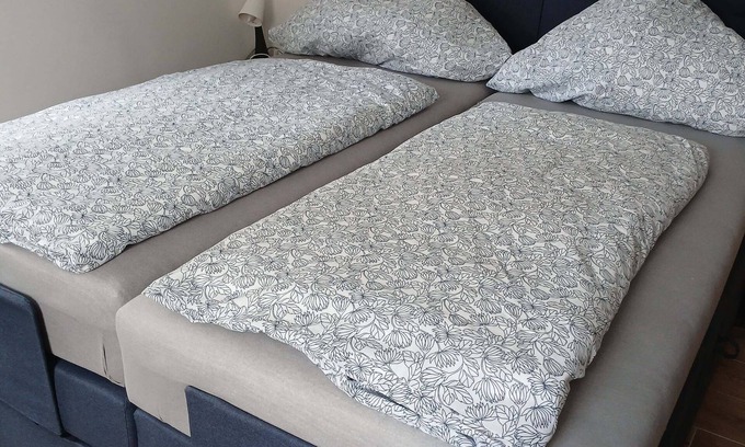 Rottingen Apartment | Modern double room with walk-in shower