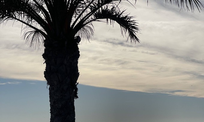 Candillargues Villa | MODERN, FAMILY-FRIENDLY VILLA