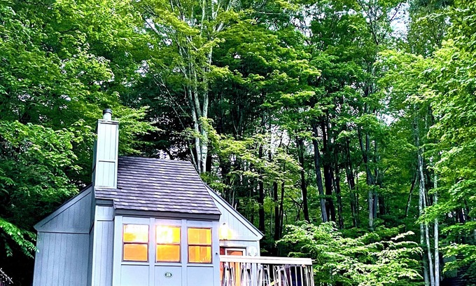 Davis Cabin | Modern Retreat - Pool + Views