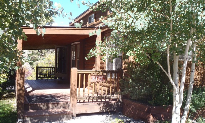 Almont Cabin | Modern "Tiny Home" Style Cabin on Taylor River with Private Fishing Access