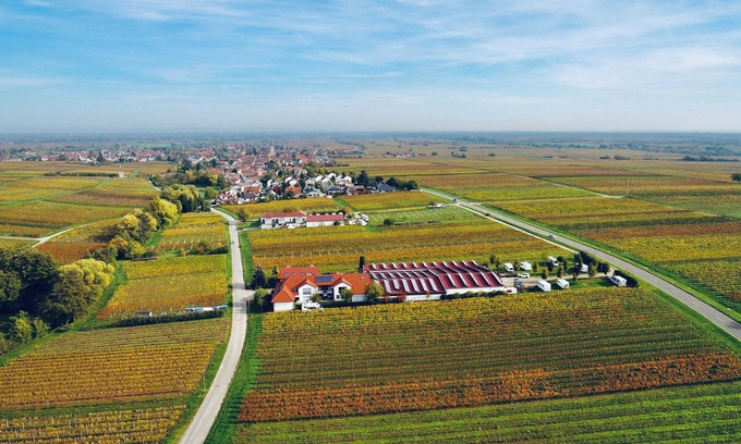 Edesheim Apartment | Modern vacation apartment II on the estate, in the middle of the vineyards