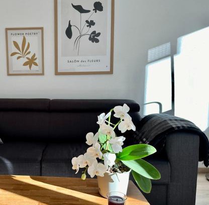 Kaßberg Apartment | Modernes Zwei-Zimmer-Apartment Chemnitz - Kaßberg