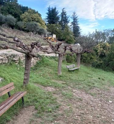 Molieres-Cavaillac Apartment | Moliere