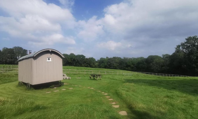 Frant Other | Molly Dishwasher Shepherds Hut