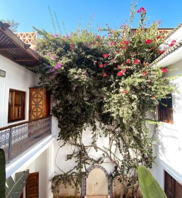 Riad Zitoun Jdid House | Momo House- Riad Momo