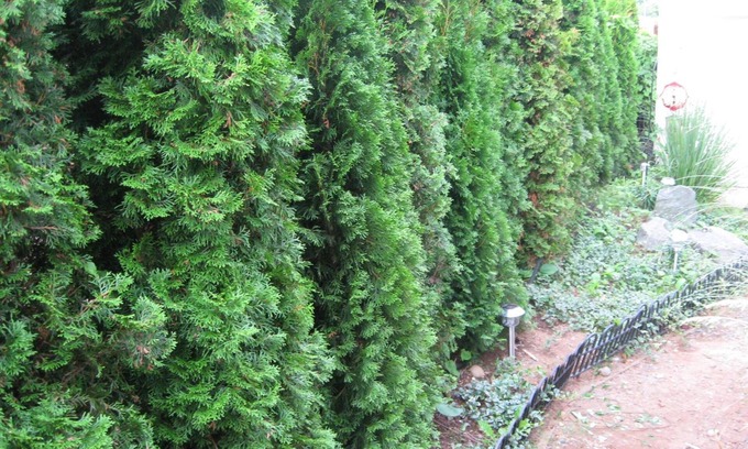 Campbell River Bed & Breakfast | Money Pennies B&B