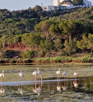 Minorca House | Mongofre Agroturismo