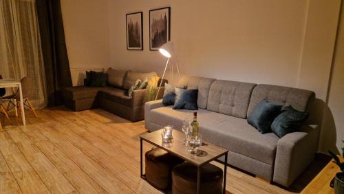 Swieradow-Zdroj Apartment | Monia Apartment