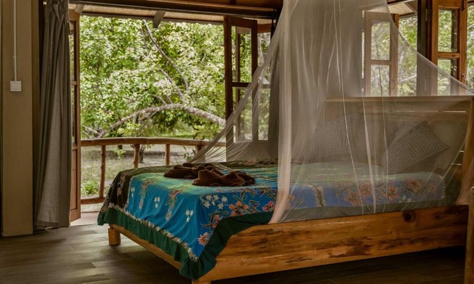 Khlong Sok Cabin | Monkey Mansion - Jungalows & Tours