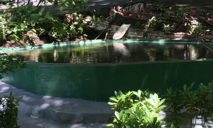 Limones Cabin | MONO FELIZ (Happy Monkey) Safe Natural Jungle living experience.