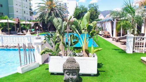 Benicassim Hotel | Montreal