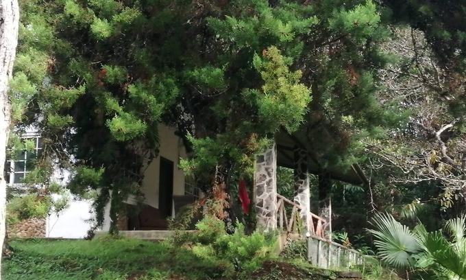 Juan Diaz House | Moon House River Dreams Cerro Azul