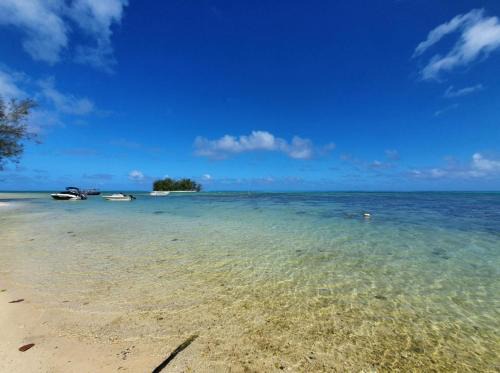Hauru House | MOOREA - Tropical Bungalow