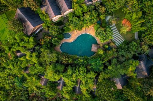 Pinangode Resort | Morickap Resort