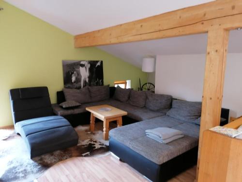 Mittersill Apartment | Mosenbauer Ferienwohnung Salzburg
