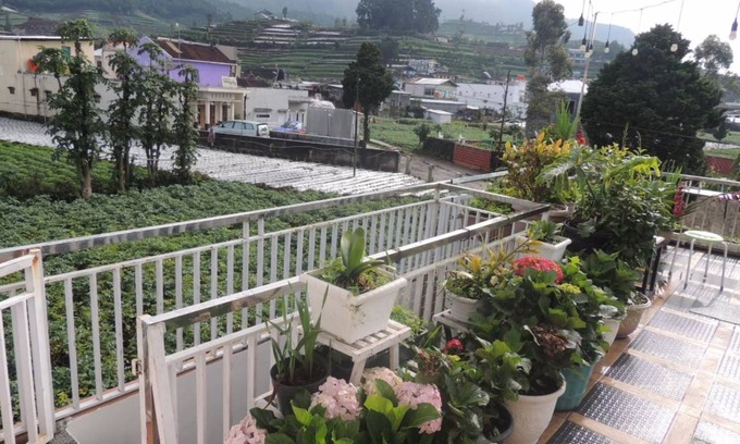 Dieng Kulon House | Motel ∙ 8 guests