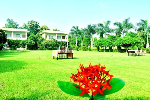 Sawai Madhopur Hotel | Motibagh Resort