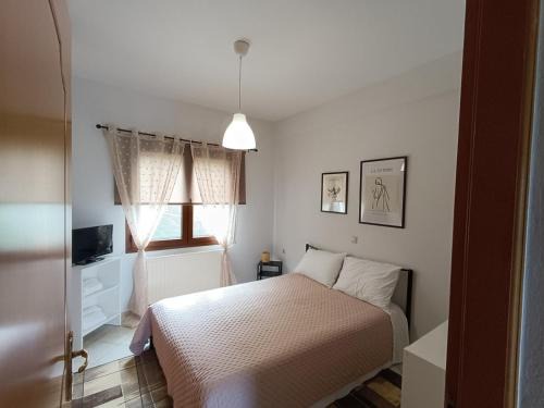 Konitsa Apartment | Mountain Serenity junior