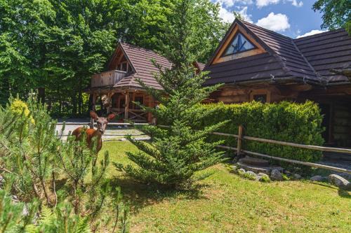 Zakopane Ski Chalet | Mountain Shelter Zakopane
