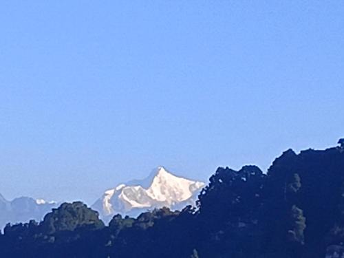 Darjeeling House | Mountain view homestay Darjeeling