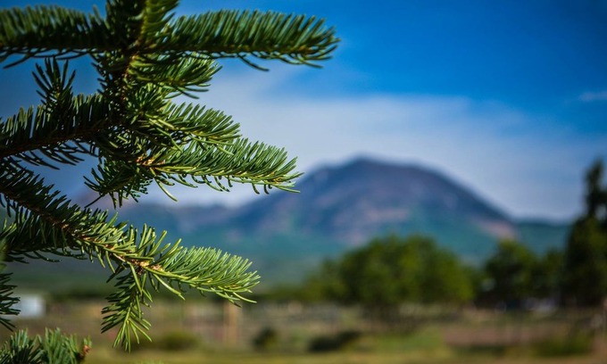 La Sal Cabin | Mt. Peale Animal Sanctuary And Retreat Lodge (Near Moab, UT)
