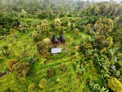 Munduk Apartment | Munduk Harum Glamping
