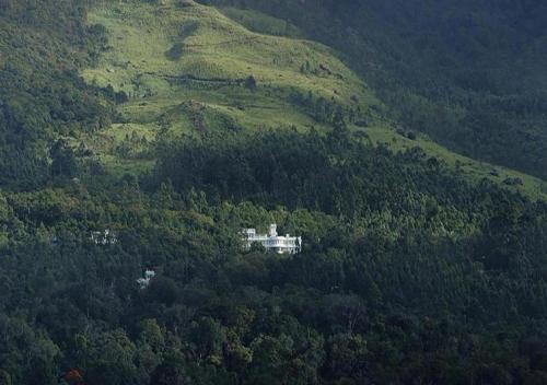 Nullatanni Bed & Breakfast | Munnar Premium Villas