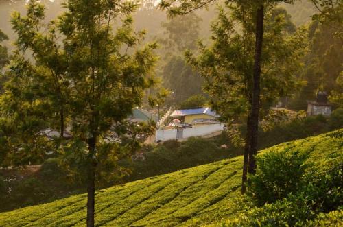 Devikolam Villa | Munnar Valley View
