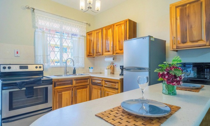 New Kingston Apartment | Musgrave AnneX - Cozy apartment close to restaurants and entertainment