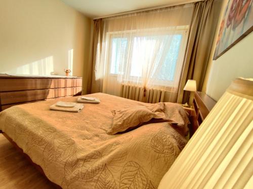 Vilnius city municipality Apartment | Musninkų apartment near Akropolis