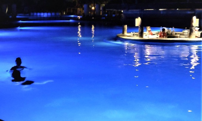Villa Juarez Resort | The Grand Mayan; Luxury in a Beautiful Jungle with Warm, Sunny Beaches!