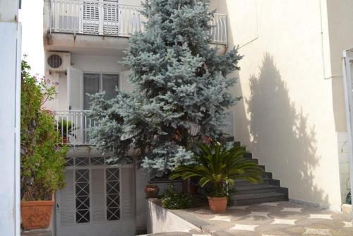 Pompei Bed & Breakfast | My Angels B&B