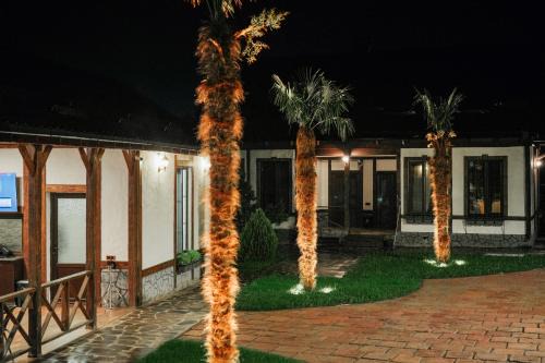 Dsegh House | My House Resort