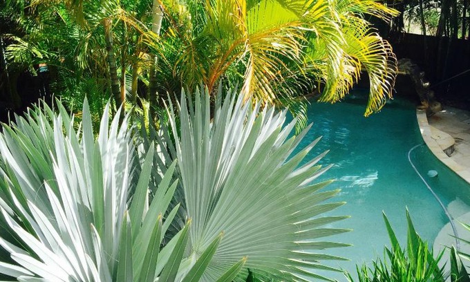 Currumbin Waters House | My Resort