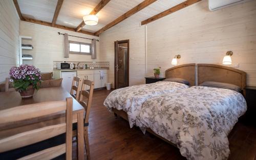 Artists Colony Bed & Breakfast | Myrtle the Turtle Guesthouse